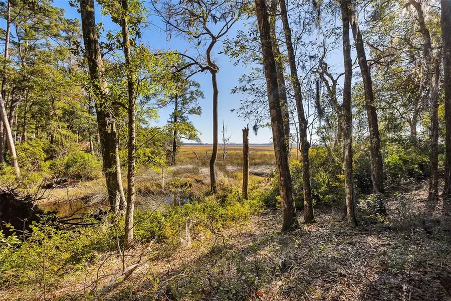 8 W London Hill Road, Woodbine, GA 31569 - #2