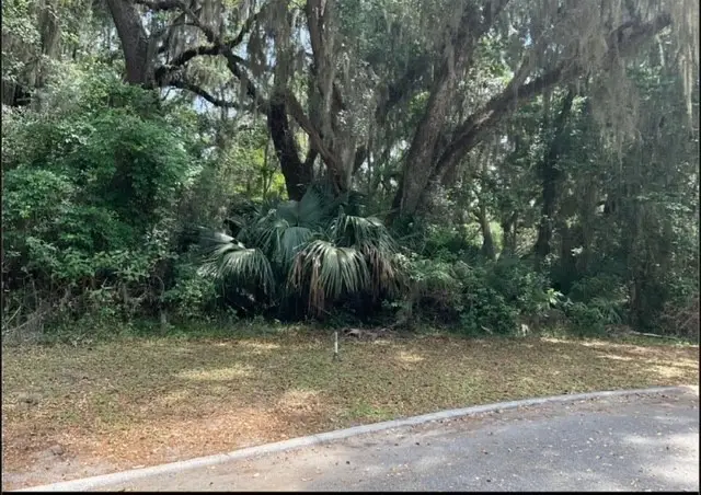00 Wagner Lane, Saint Marys, GA 31558 - Image #1