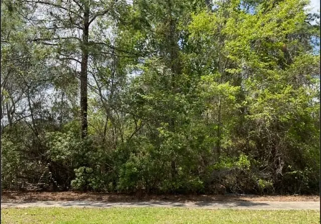 00 Charleston Way, Saint Marys, GA 31558 - Image #1