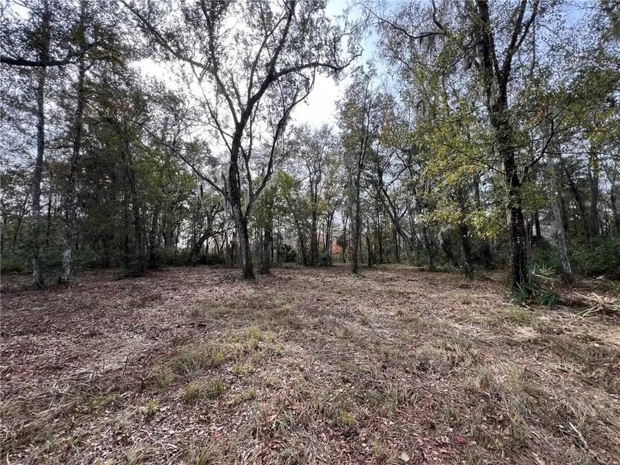 597 Salt Creek Way E, Brunswick, GA 31523 - #3