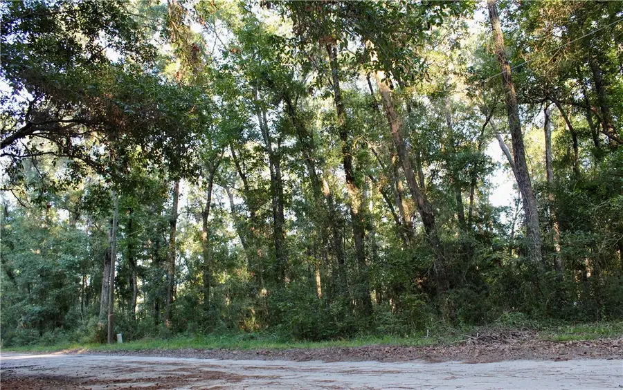 1046 Harmony Hill Lane Ne, Townsend, GA 31331 - Image #2