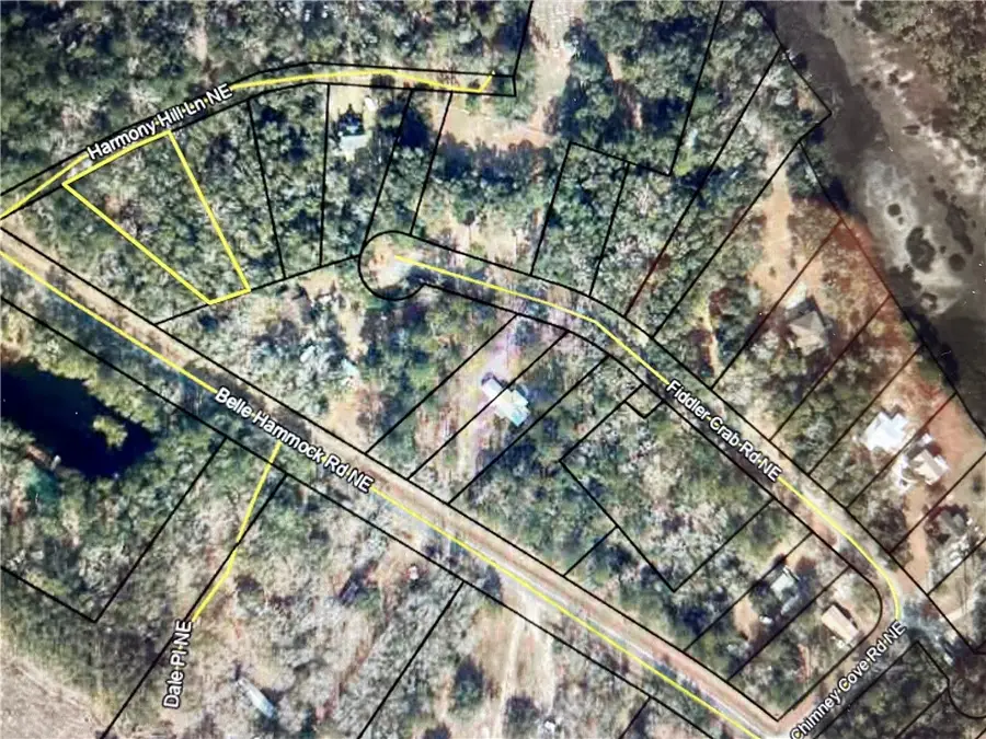 1046 Harmony Hill Lane Ne, Townsend, GA 31331 - Image #3