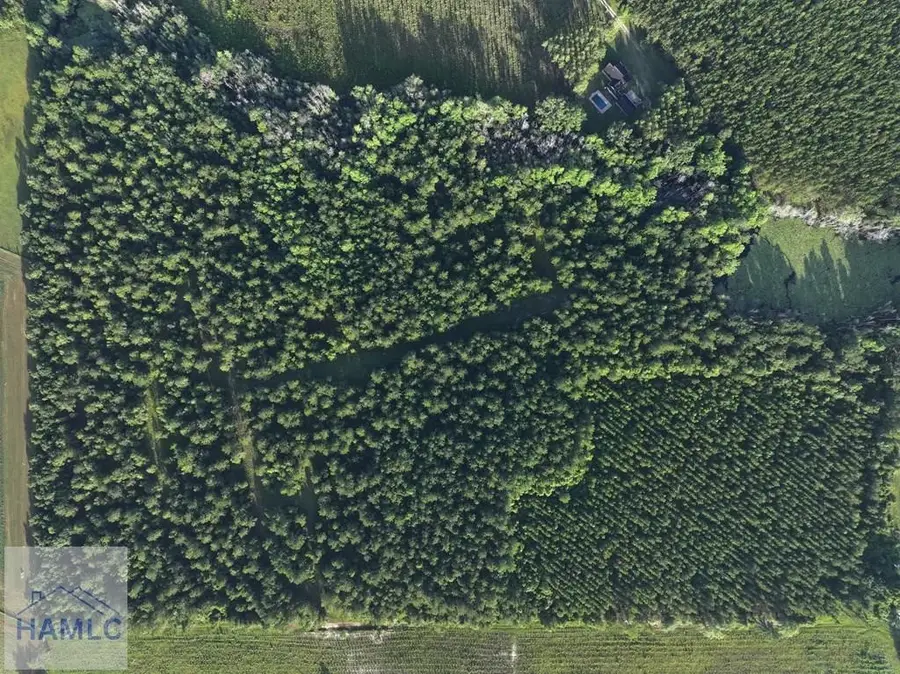 Tract 1A & 1C Oglethorpe Road, Jesup, GA 31545 - Image #3