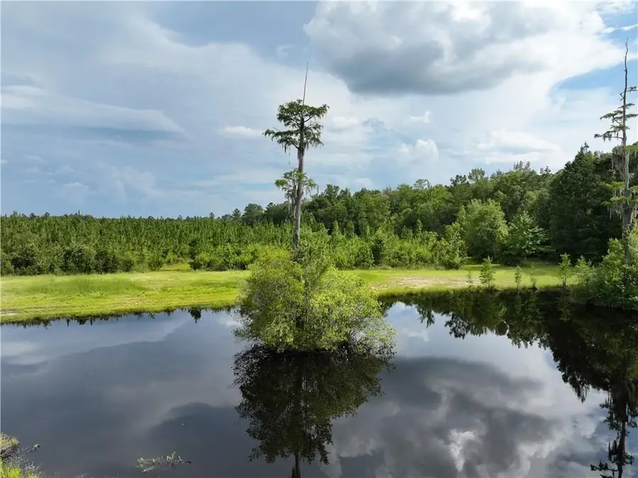 0 Rogers Break Road, Jesup, GA 31546 - #3