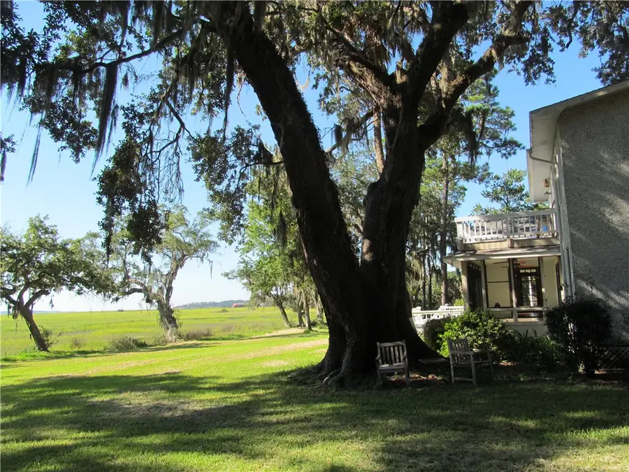 1165 Durant Drive Se, Townsend, GA 31331 - #3