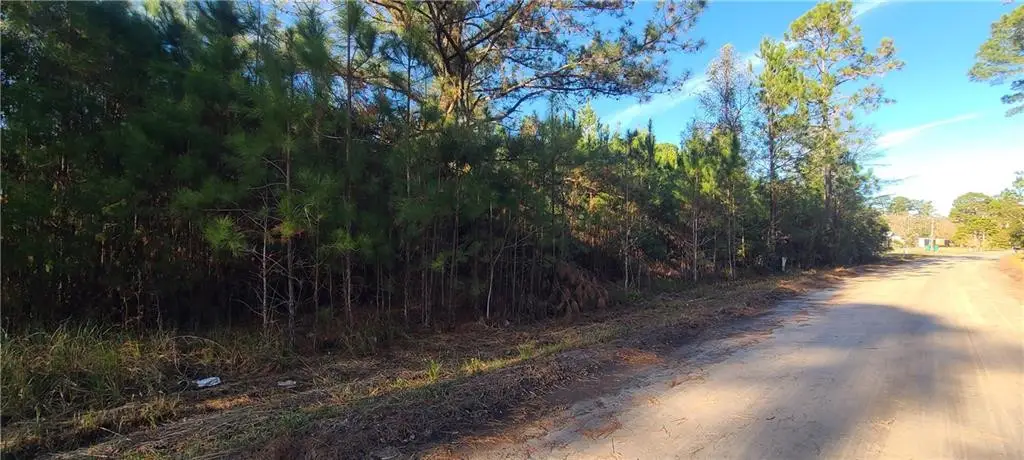 101 White Drive, Townsend, GA 31331 - #1