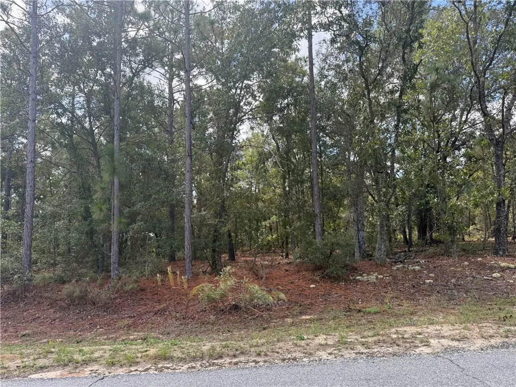 Lot 51 Ridge Loop, Blackshear, GA 31516 - #1