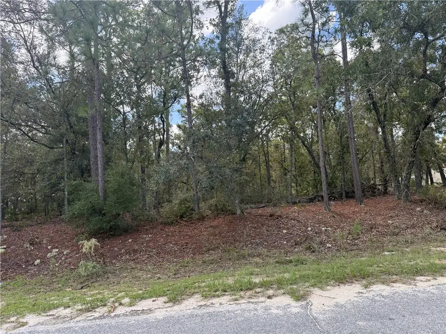 Lot 51 Ridge Loop, Blackshear, GA 31516 - #2