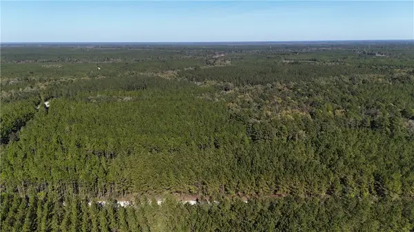 0 Antioch Cemetery Road, Folkston, GA 31537