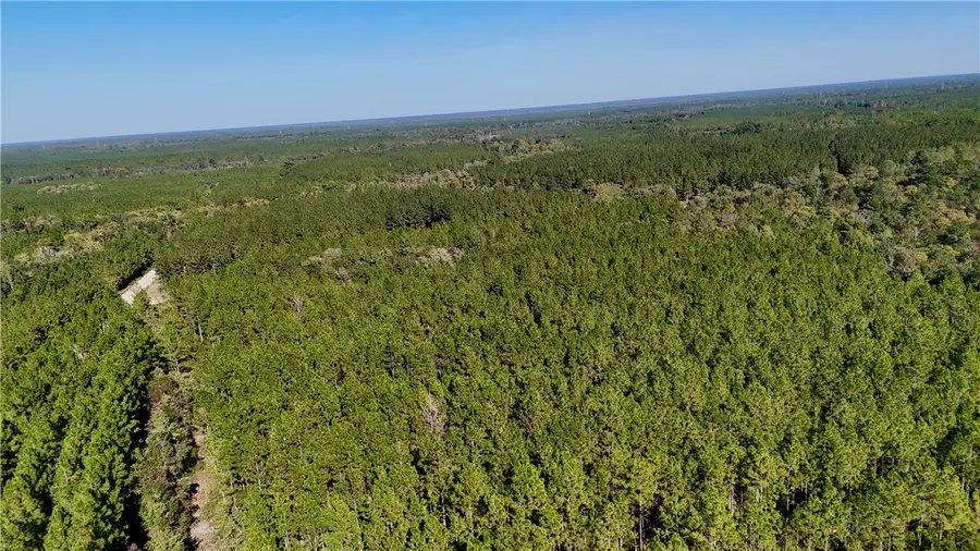 0 Antioch Cemetery Road, Folkston, GA 31537 - Image #2