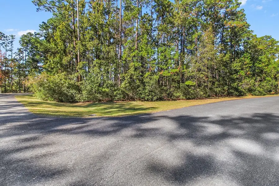 Lot 137 Sapelo Circle Ne, Townsend, GA 31331 - Image #2