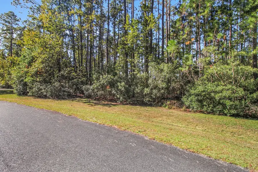 Lot 137 Sapelo Circle Ne, Townsend, GA 31331 - Image #3