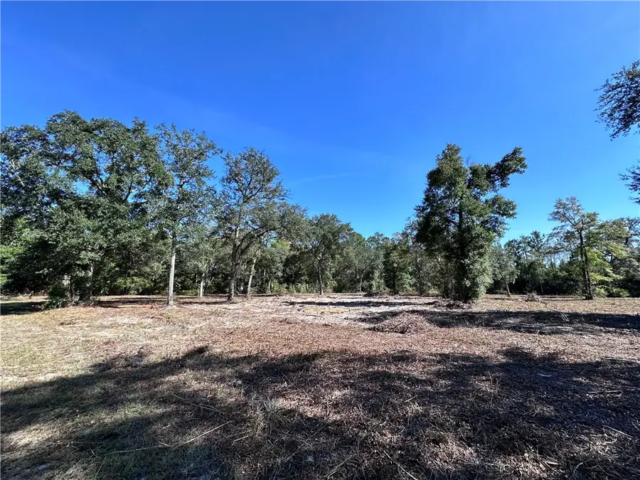 239 Satilla Sands Drive, Waynesville, GA 31566 - #2