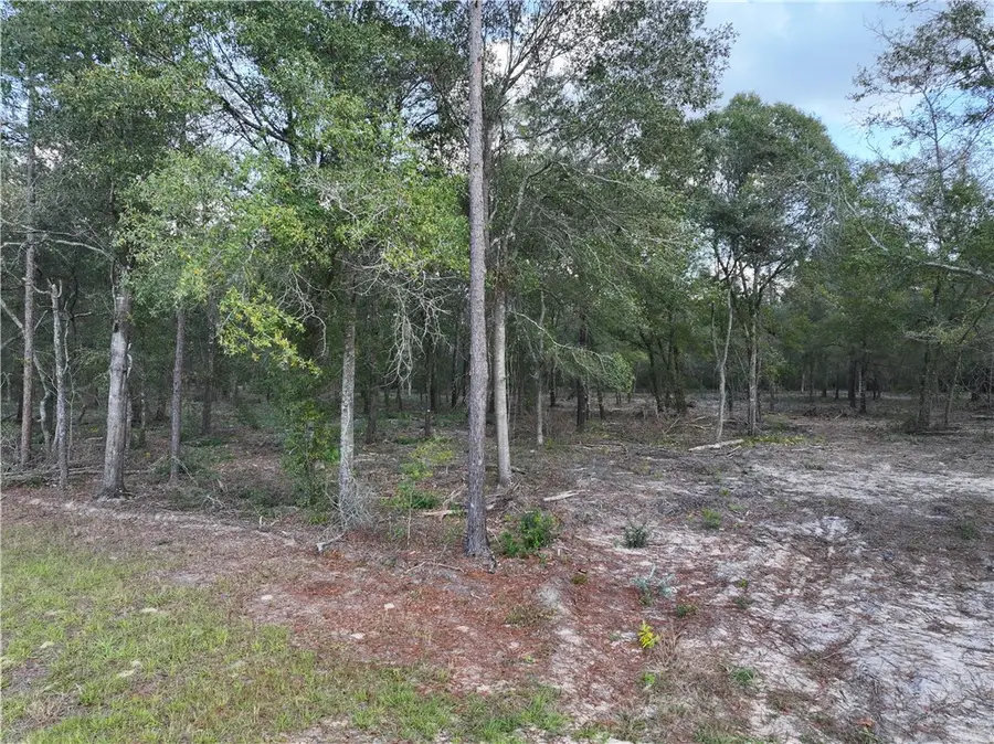 0 Spring Grove Road, Jesup, GA 31545 - Image #2