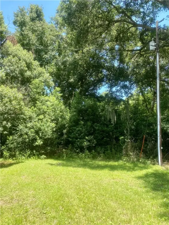 3620 Fulk Bohannon Drive, Brunswick, GA 31520 - Image #2