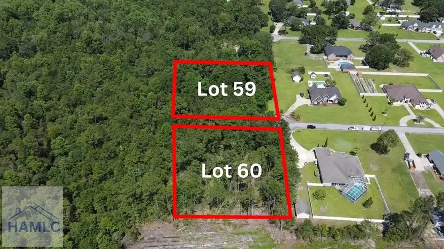 113 Vixenhill Drive, Jesup, GA 31546 - Image #2