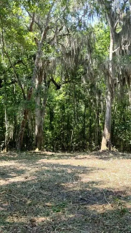 0 Briar Patch Place #16, Townsend, GA 31331