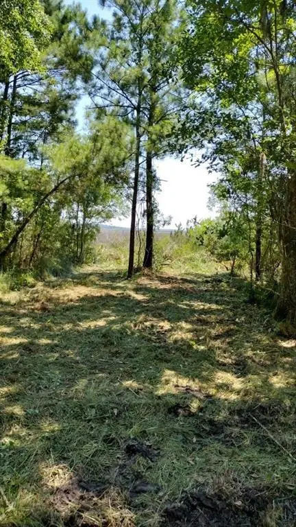 0 Briar Patch Place #30, Townsend, GA 31331 - #2
