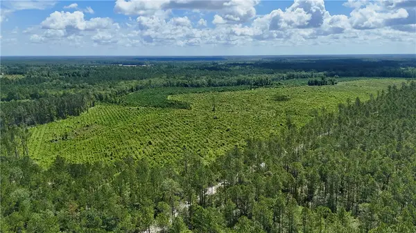 Tract 2 Bennett Mill Pond Road, Odum, GA 31555