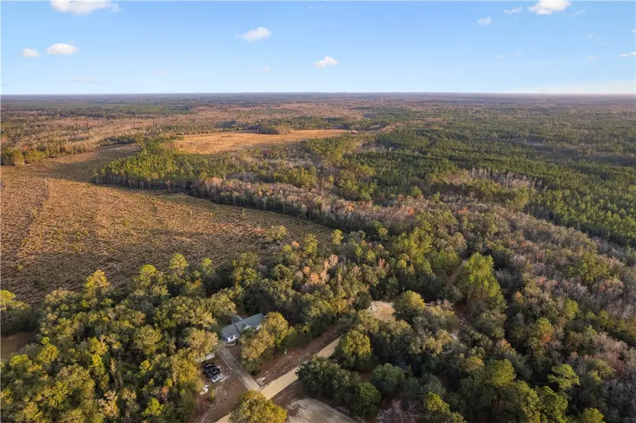 255 Spell Landing Road, Hortense, GA 31543 - Image #2