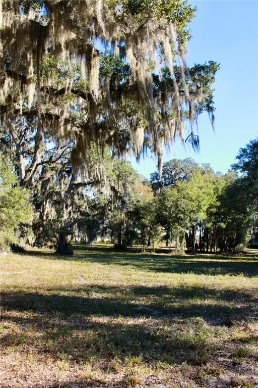 52 Coopers Point Drive Ne, Townsend, GA 31331 - Image #2