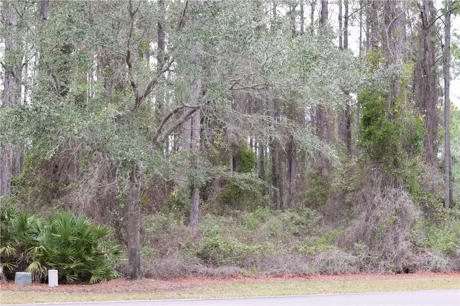 304 Cumberland Harbour Boulevard, Saint Marys, GA 31558 - Image #2