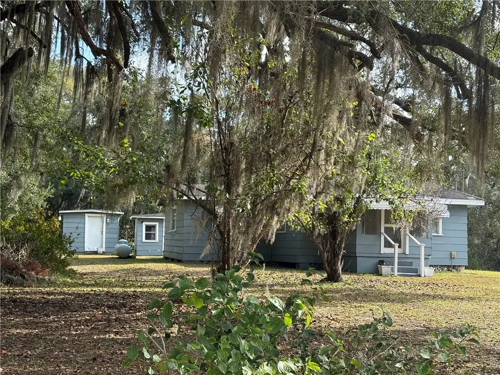 11817 Ga Highway 99 Highway, Darien, GA 31305 - #1