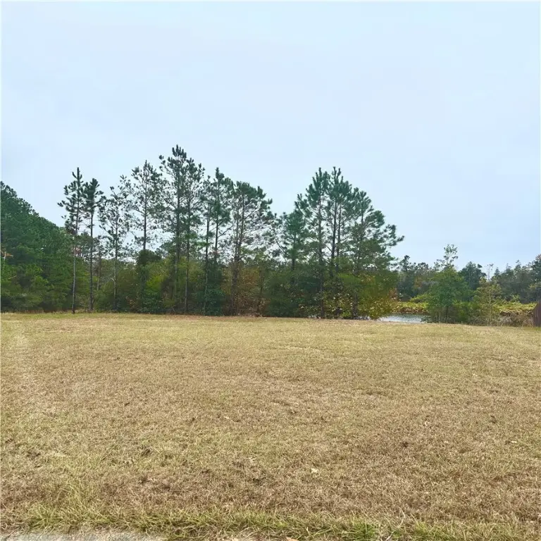 231 Roswell Drive E, Brunswick, GA 31525 - Image #2