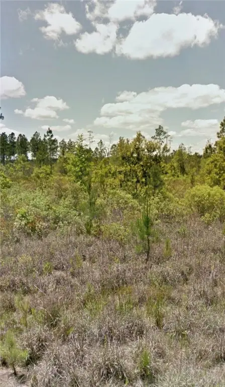 112 Eagles Crest Drive, Waynesville, GA 31566 - Image #1