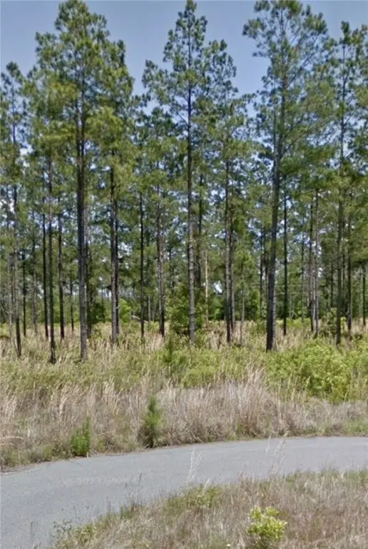 112 Eagles Crest Drive, Waynesville, GA 31566 - Image #2