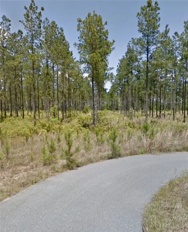 112 Eagles Crest Drive, Waynesville, GA 31566 - Image #3