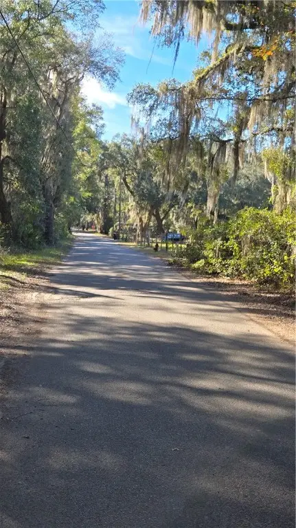 1431 SW Mentionville Road Sw, Darien, GA 31305 - Image #3