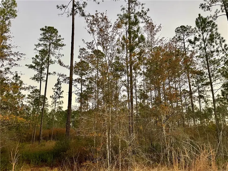 3030 Woodbriar Road, Waycross, GA 31503 - Image #2