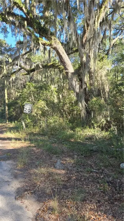 0 Mentionville Road Sw, Darien, GA 31305 - Image #1