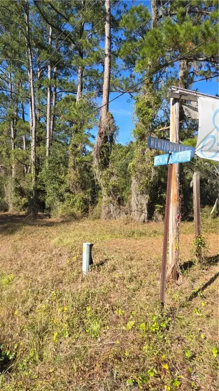 0 Mentionville Road Sw, Darien, GA 31305 - Image #3