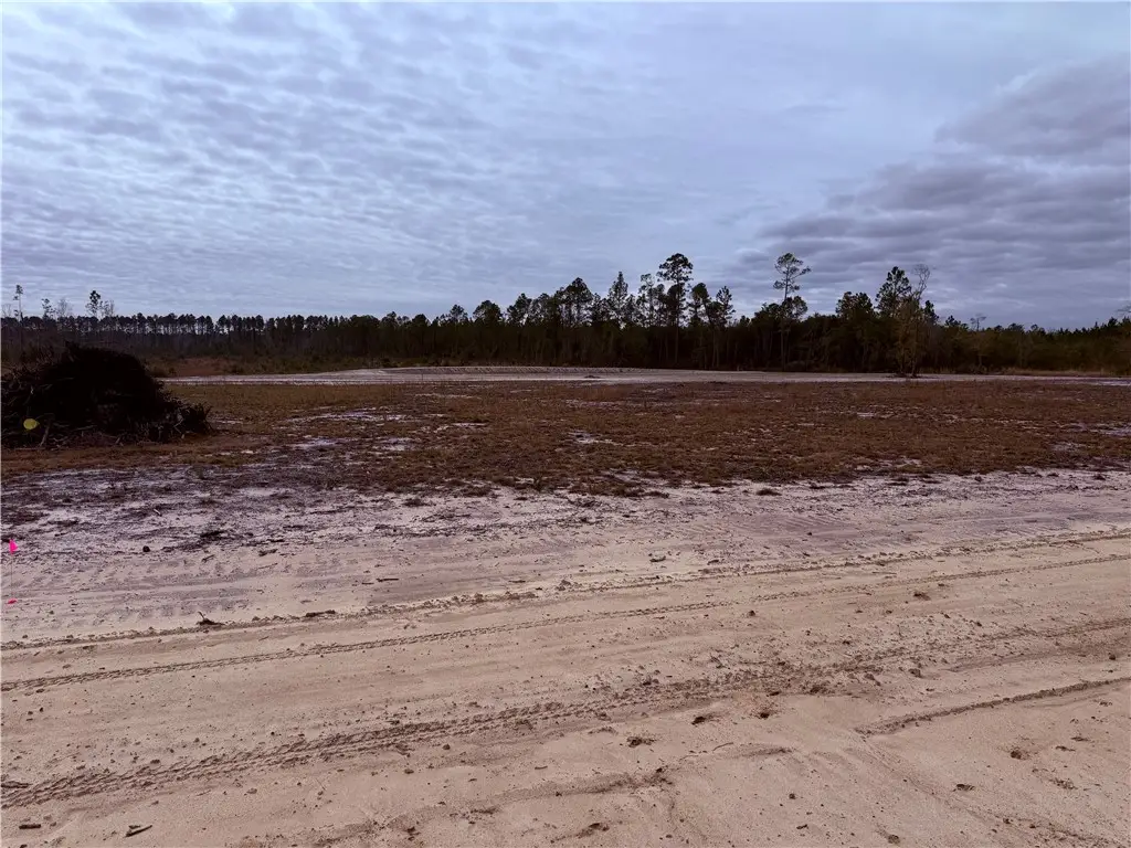 Lot 12 Wiregrass Lane #12, Waycross, GA 31501 - Image #1