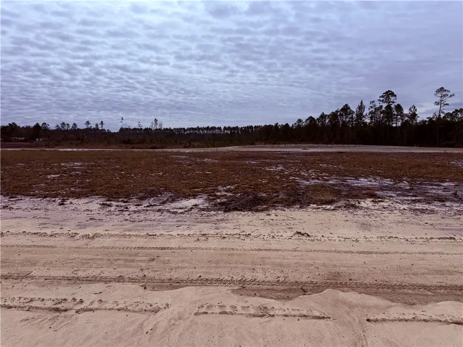 Lot 12 Wiregrass Lane #12, Waycross, GA 31501 - Image #3