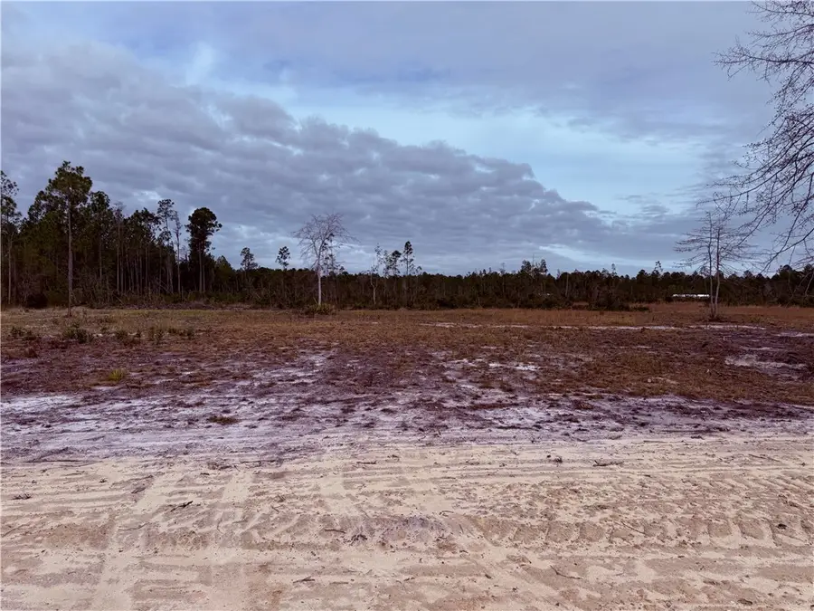 Lot 10 Wiregrass Lane #10, Waycross, GA 31501 - Image #3