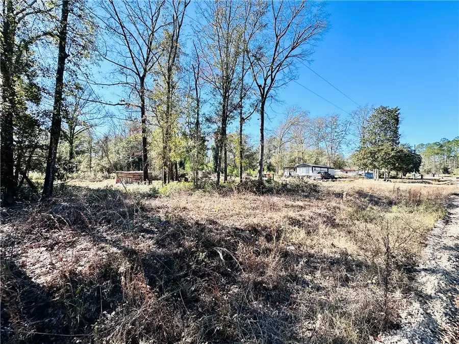 76 Armadillo Run, Hortense, GA 31543 - Image #2