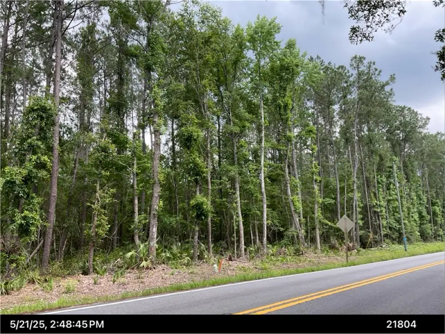 0 Dover Bluff Road, Waverly, GA 31565 - #3