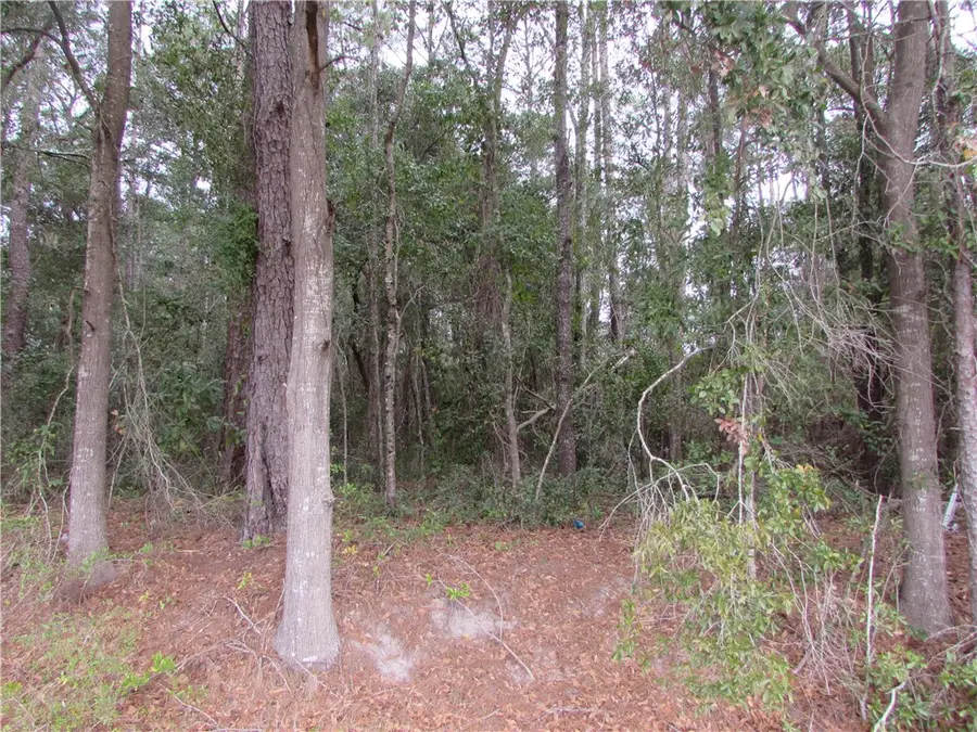 1016 Steve Street, Waycross, GA 31501 - Image #2