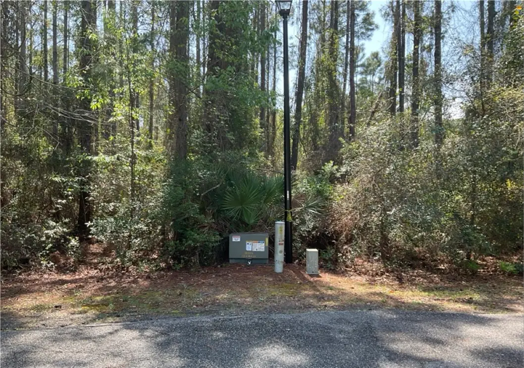 0 Tacatacoru Court, Saint Marys, GA 31558 - Image #1
