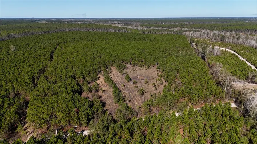 19 AC Owens Road, Odum, GA 31555 - Image #2