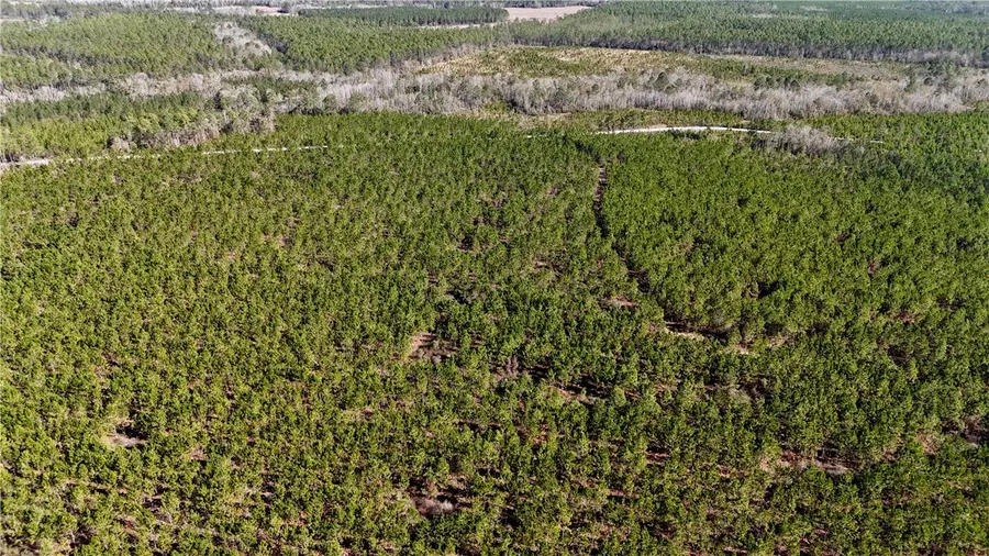 28 AC Owens Road, Odum, GA 31555 - Image #3