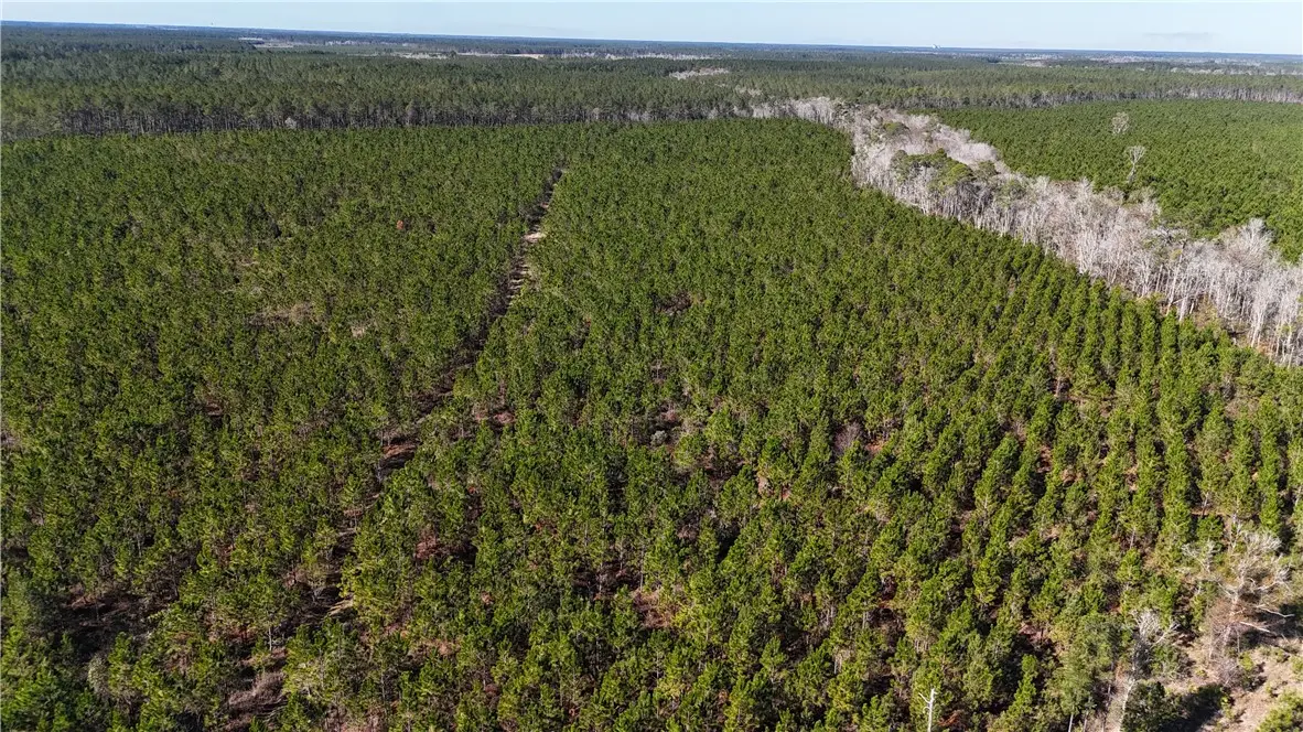 29 AC Owens Road, Odum, GA 31555 - Image #1