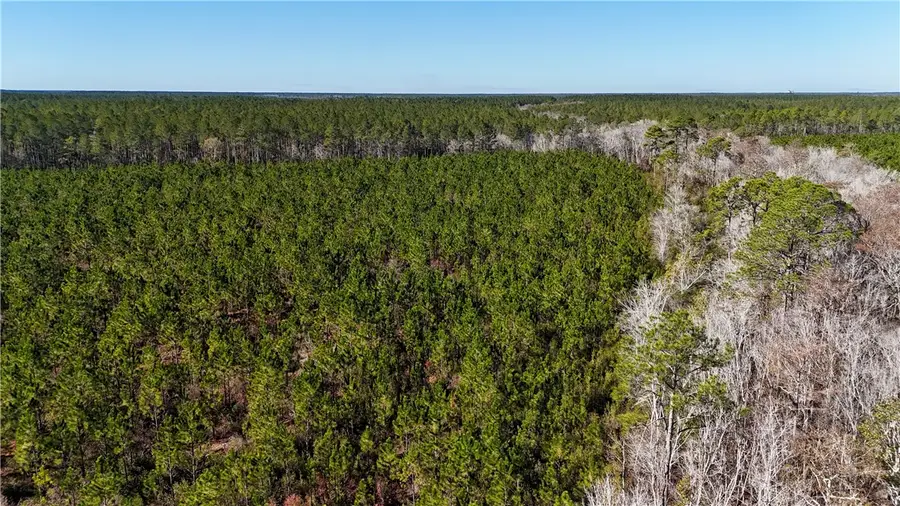 29 AC Owens Road, Odum, GA 31555 - Image #2