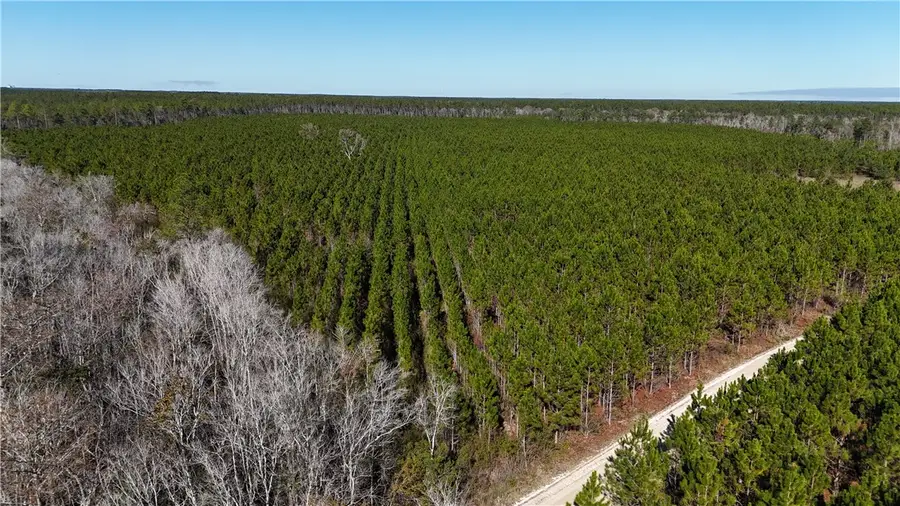 29 AC Owens Road, Odum, GA 31555 - Image #3