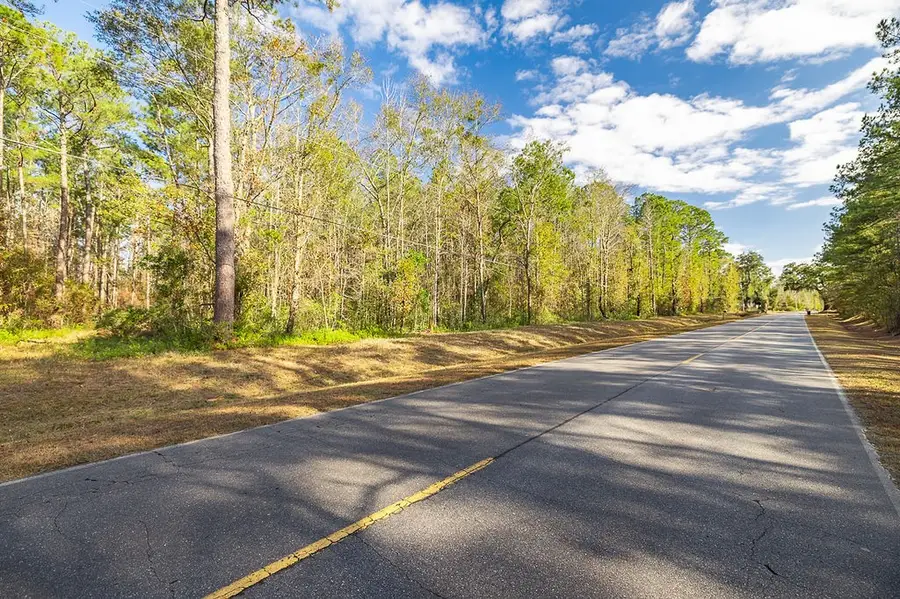 3538 Belle Hammock Road, Townsend, GA 31331 - Image #2