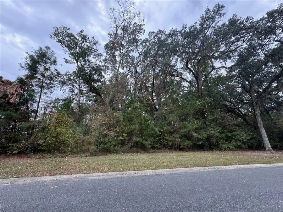00 Canopy (lot 139) Lane, Waverly, GA 31565 - Image #3