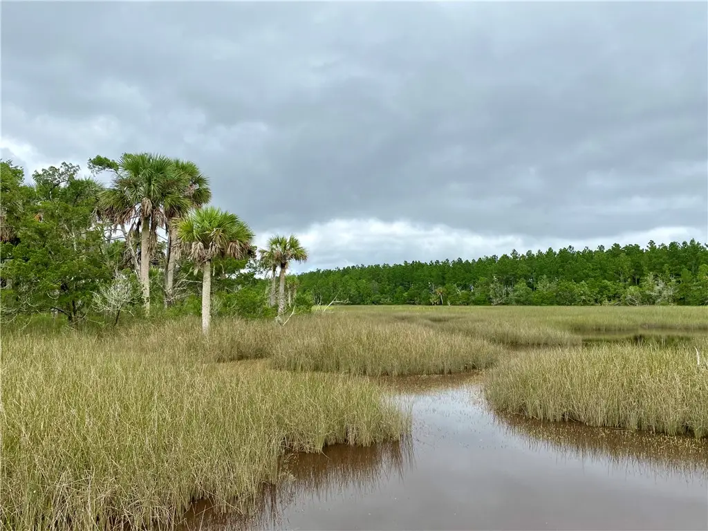 0 Timber Landing Road, Brunswick, GA 31523 - #1